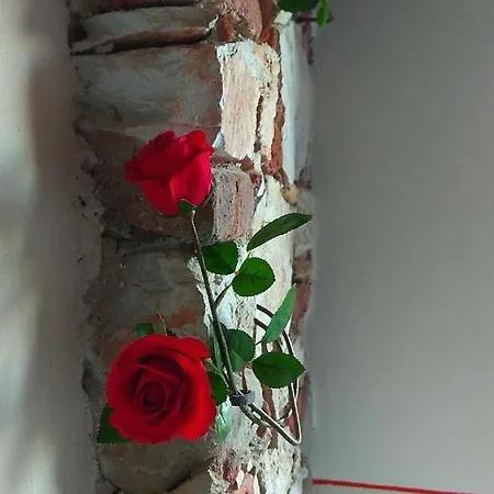 Le Rondini Di San Donato Bed & Breakfast *