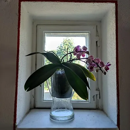 Bed & Breakfast Le Rondini Di San Donato *