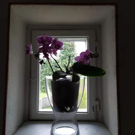 Le Rondini Di San Donato Bed & Breakfast Lucca